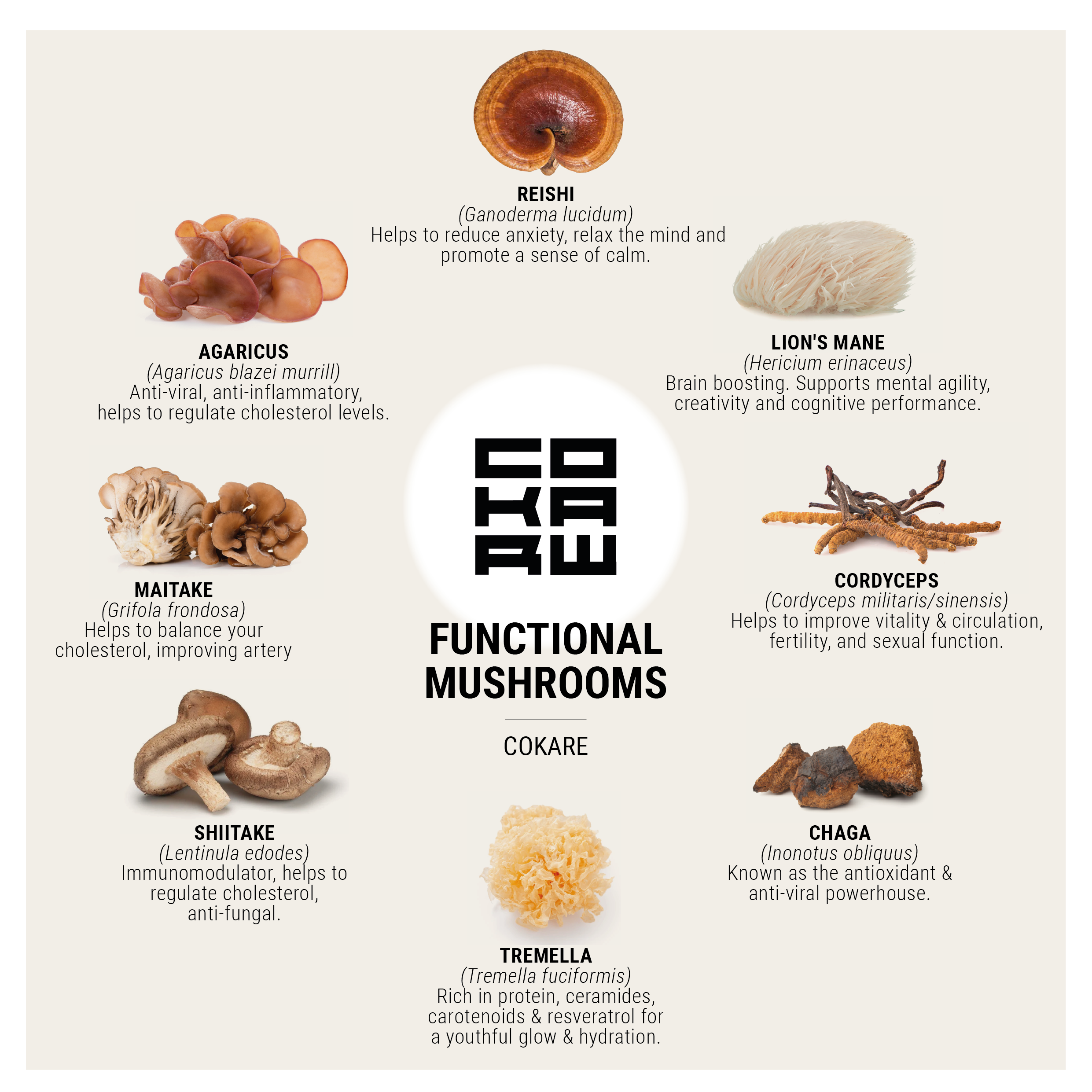 What are Adaptogenic Mushrooms?