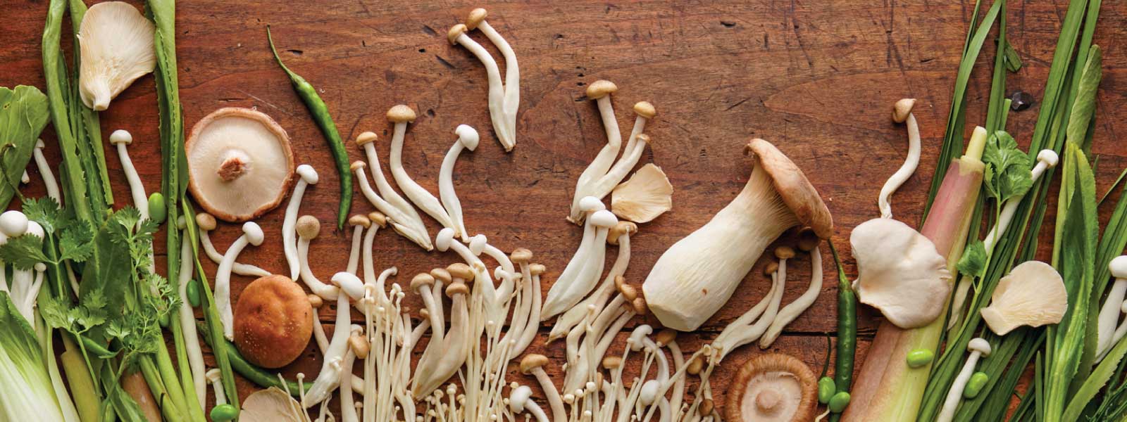 Mushrooms and brain health
