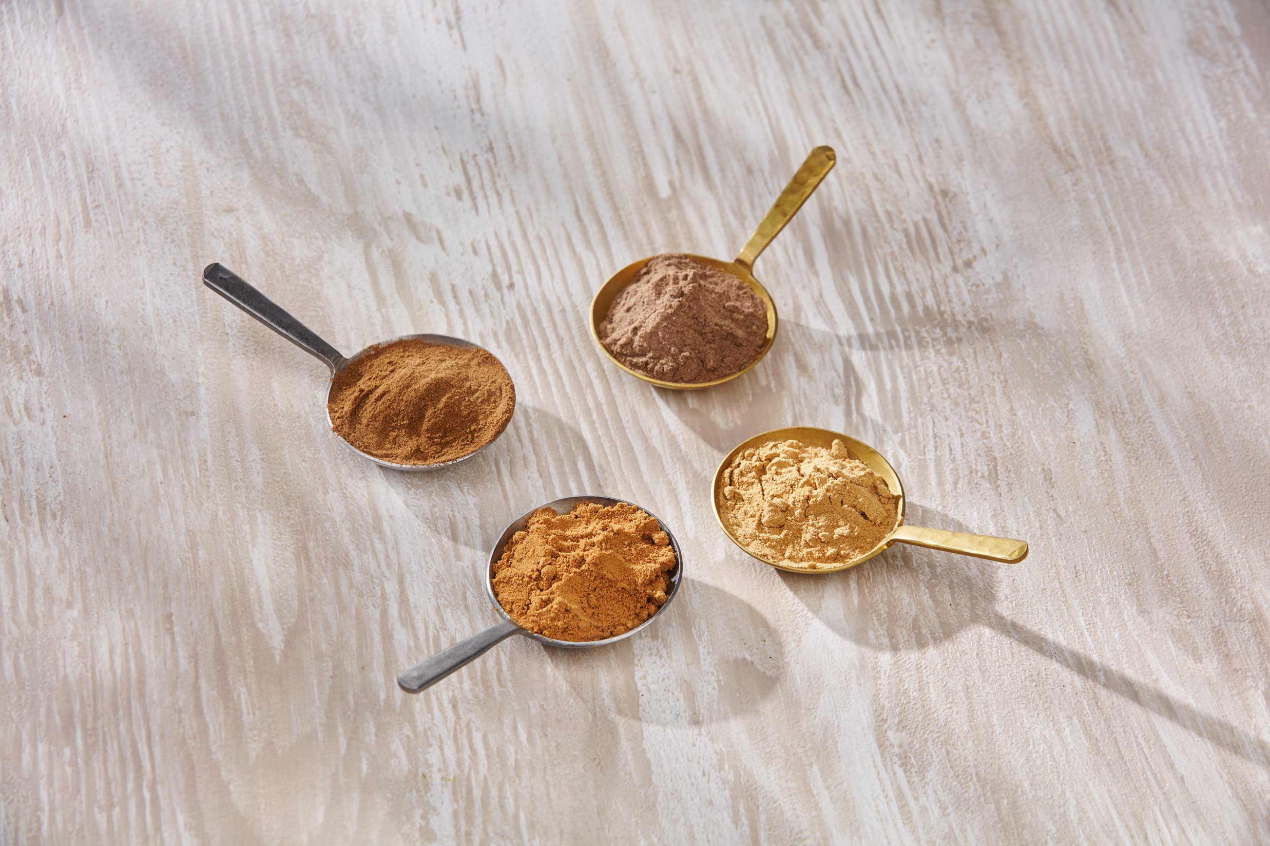 Lion's mane, Shrimps and chemoula butter -  Elixir Focus